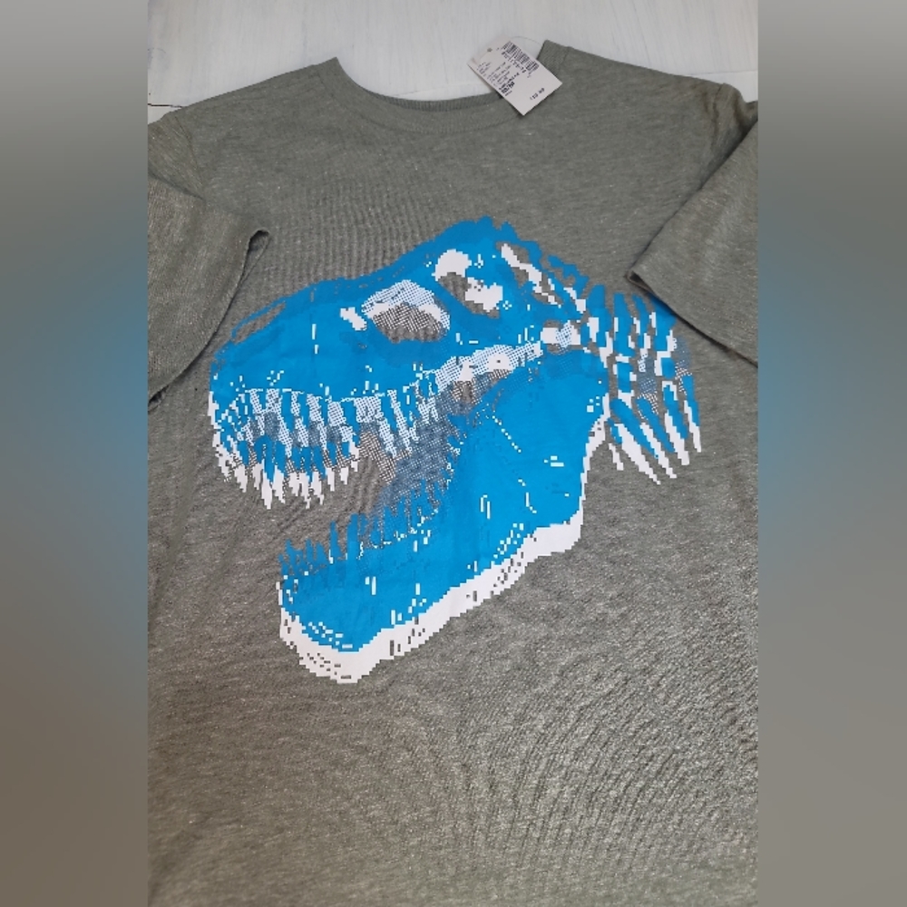 Big Boys NWT Size 7/8 Dinosaur Graphic T-Shirt